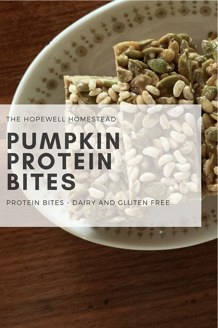 Pumpkin Seed Protein Bites
