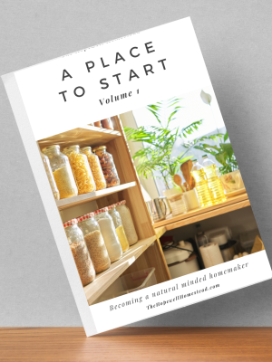 The Natural Minded Homemaker - Volume I & II