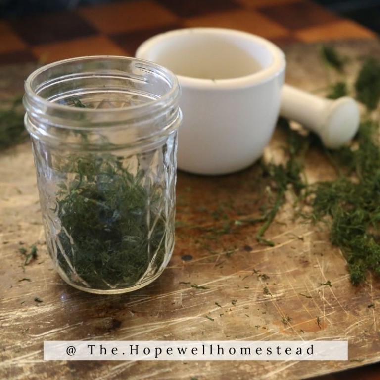 Dehydrate Herbs without a Dehydrator