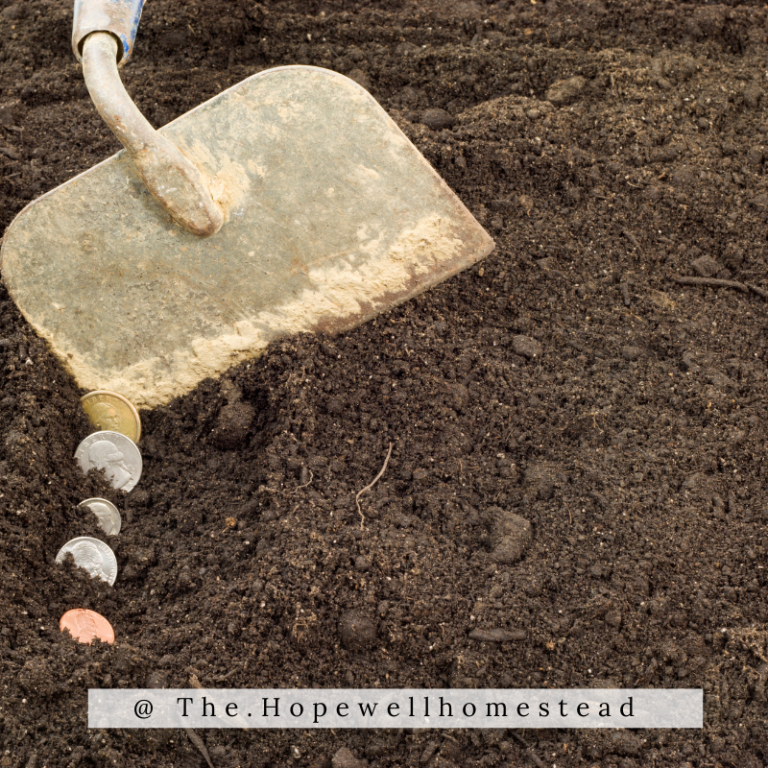 9 Ways to Earn Extra Income to Finance Your Homestead Projects