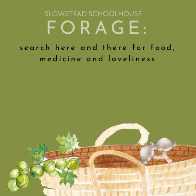 Slowstead School House: Foraging Resource for the family